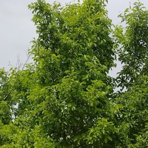 خرید لوازم آزمایشگاهی پابه دو راه و شهرسازی