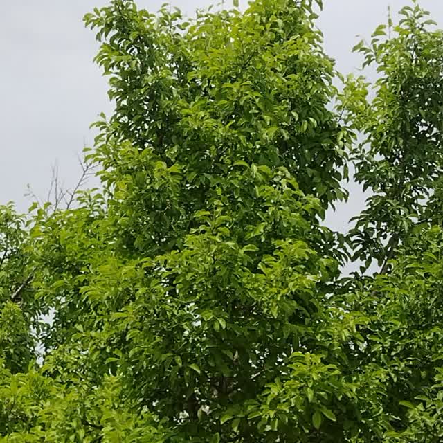 خرید لوازم آزمایشگاهی پابه دو راه و شهرسازی