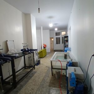 مدرک کارشناسی کارشناسی ارشد